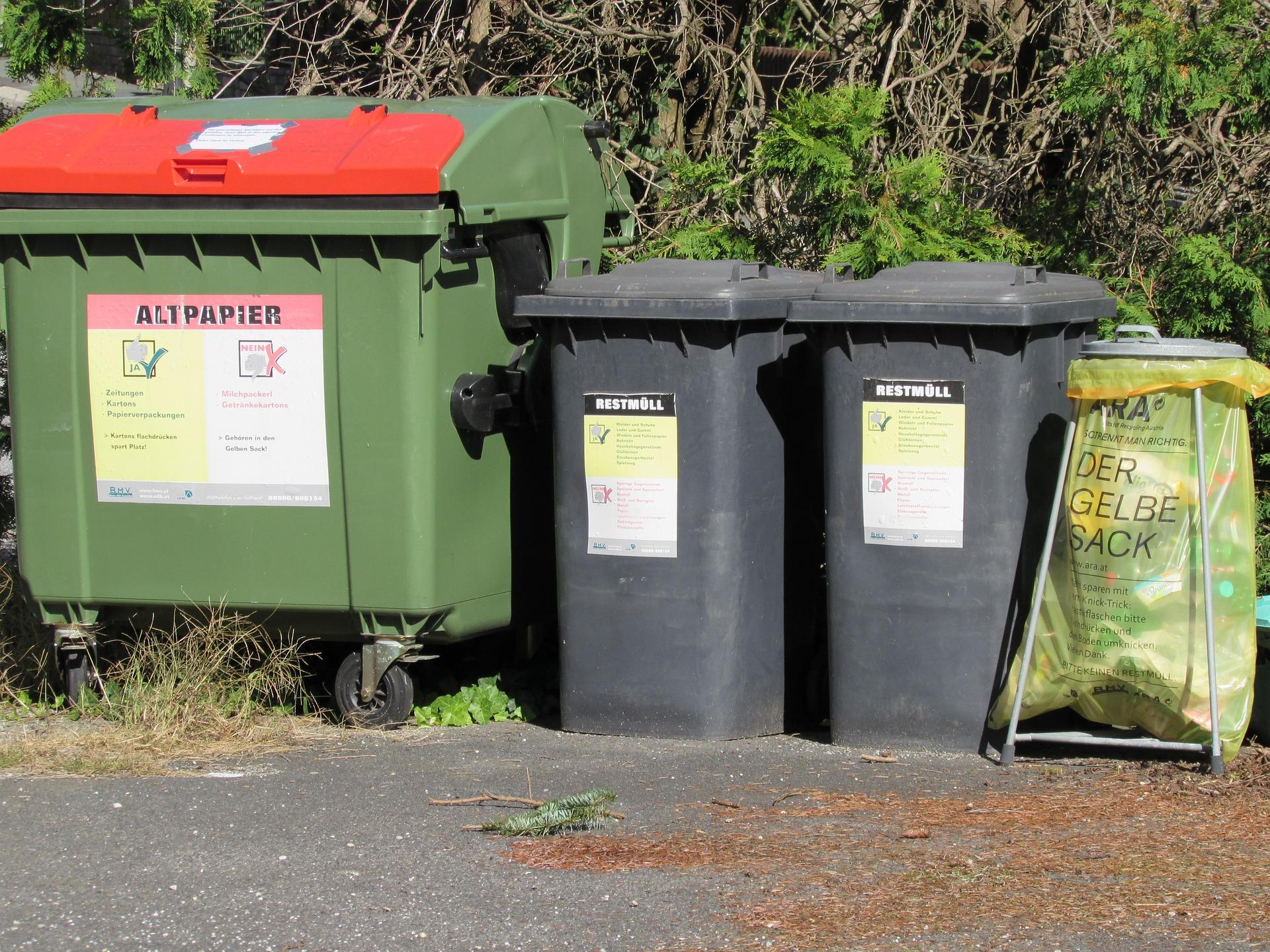 Read more about the article Warum Mülltonnenboxen auch Ihr Garten-Design aufwerten können